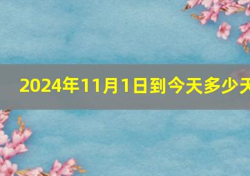 2024年11月1日到今天多少天