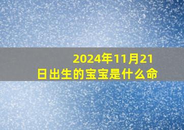 2024年11月21日出生的宝宝是什么命