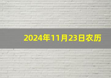 2024年11月23日农历