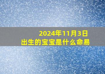 2024年11月3日出生的宝宝是什么命易