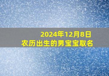 2024年12月8日农历出生的男宝宝取名