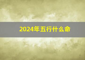 2024年五行什么命