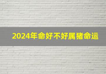 2024年命好不好属猪命运