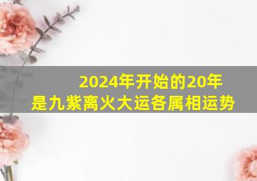 2024年开始的20年是九紫离火大运各属相运势