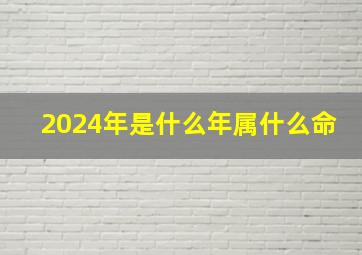 2024年是什么年属什么命