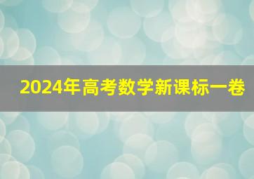 2024年高考数学新课标一卷