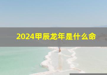 2024甲辰龙年是什么命