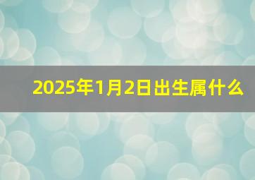 2025年1月2日出生属什么