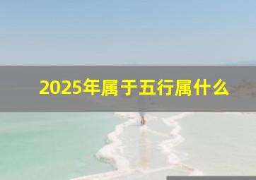 2025年属于五行属什么