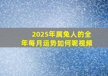 2025年属兔人的全年每月运势如何呢视频