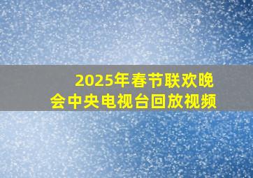 2025年春节联欢晚会中央电视台回放视频