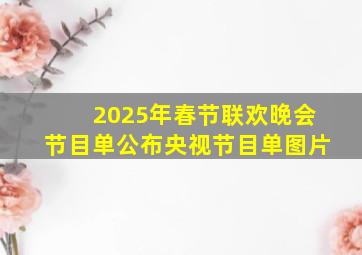 2025年春节联欢晚会节目单公布央视节目单图片