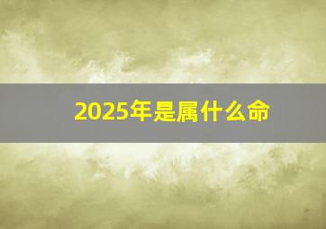 2025年是属什么命