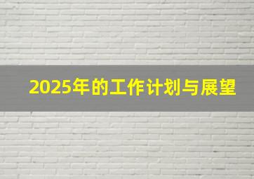 2025年的工作计划与展望