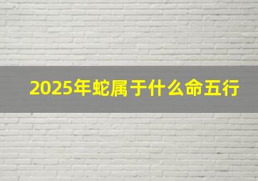 2025年蛇属于什么命五行