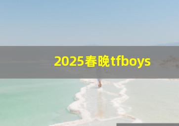 2025春晚tfboys