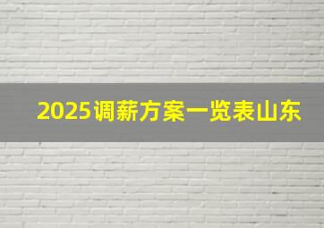 2025调薪方案一览表山东