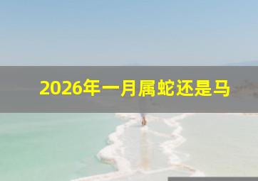 2026年一月属蛇还是马