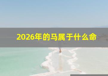 2026年的马属于什么命