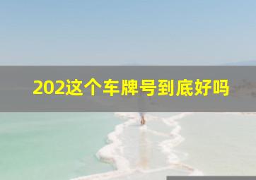 202这个车牌号到底好吗