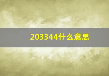 203344什么意思