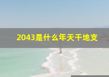 2043是什么年天干地支