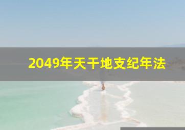 2049年天干地支纪年法