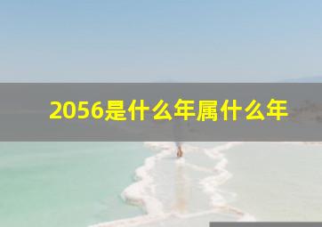 2056是什么年属什么年