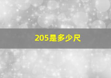 205是多少尺