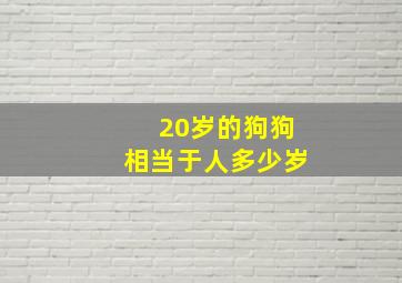 20岁的狗狗相当于人多少岁