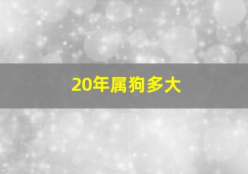 20年属狗多大