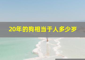 20年的狗相当于人多少岁