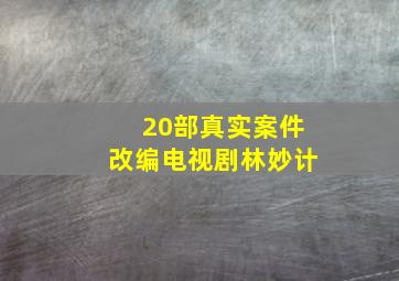 20部真实案件改编电视剧林妙计