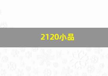 2120小品