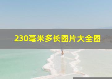 230毫米多长图片大全图