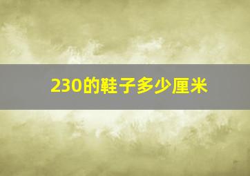 230的鞋子多少厘米