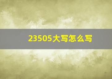 23505大写怎么写