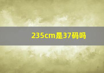 235cm是37码吗