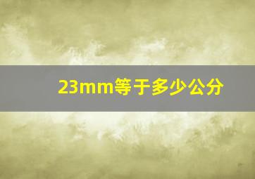 23mm等于多少公分