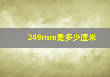 249mm是多少厘米