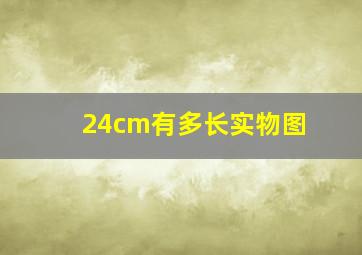 24cm有多长实物图