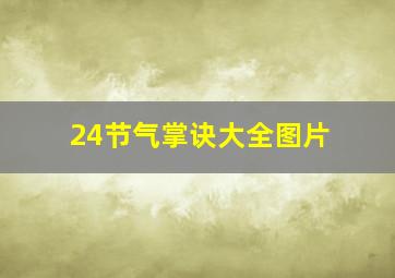 24节气掌诀大全图片