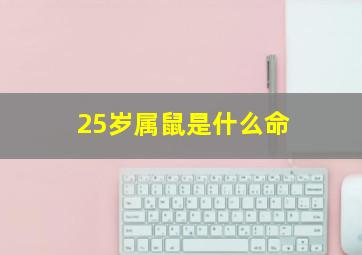 25岁属鼠是什么命