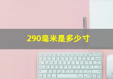 290毫米是多少寸