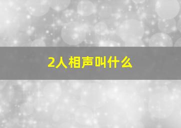 2人相声叫什么