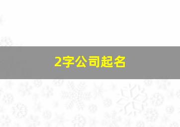 2字公司起名