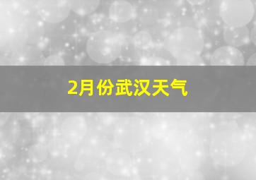 2月份武汉天气