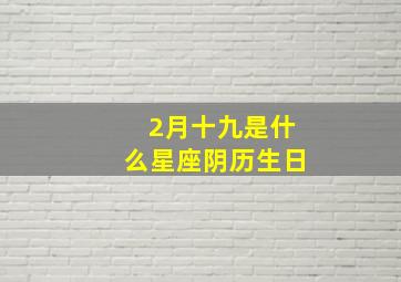 2月十九是什么星座阴历生日