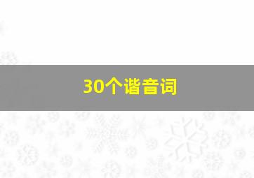 30个谐音词