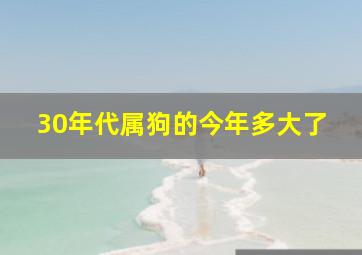 30年代属狗的今年多大了